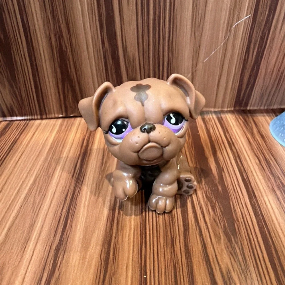 Littlest Pet Shop LPS retired Bulldog #881 brown with purple eyes‎ Hasbro